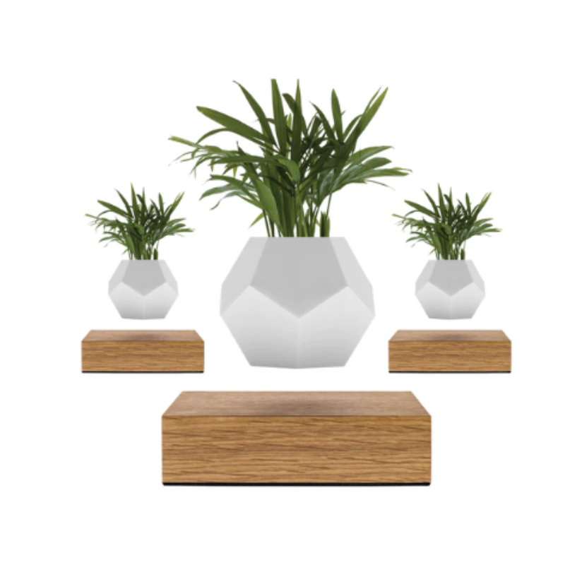 Magnetisk plante™