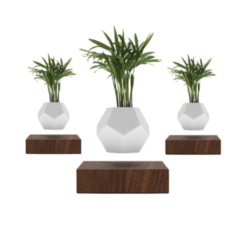 Magnetisk plante™